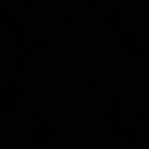 Meet your Posher, Payne